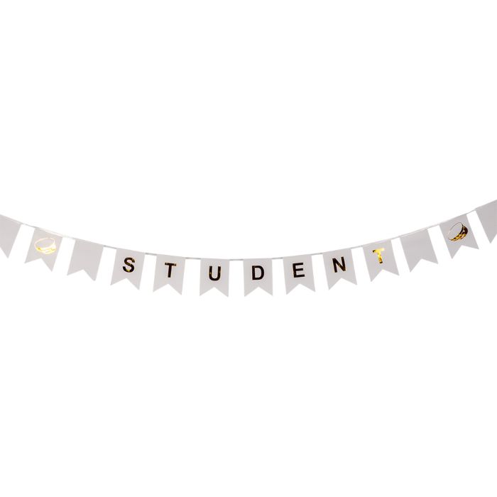 Student banner girlander med flagg 3 m