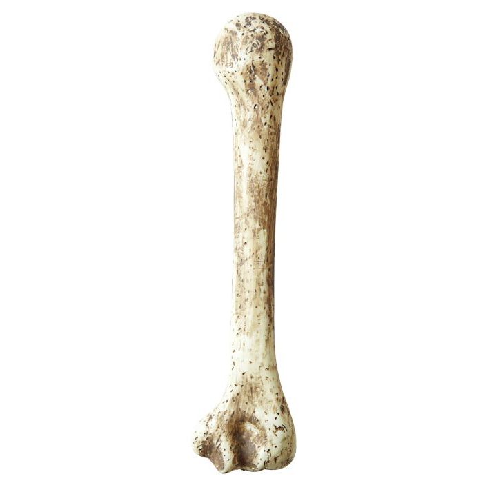 Hulemann bein - 36 cm