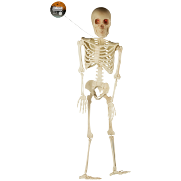 Halloween skjelett med lyserande auge 91 cm