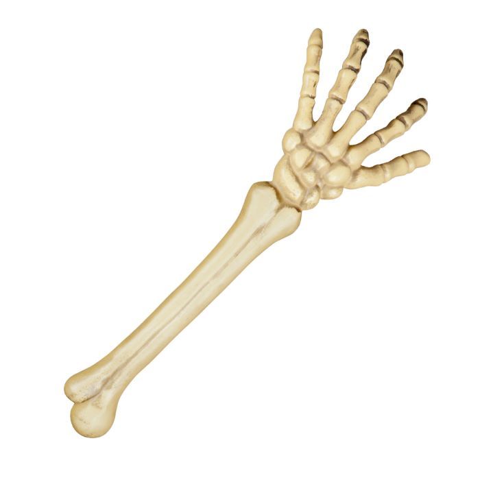 Halloween skjelettarm - 46 cm