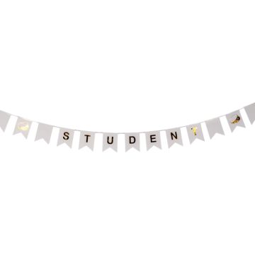 Student banner girlander med flagg 3 m