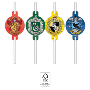 Harry Potter® pappstrå 4x - 21,5 cm