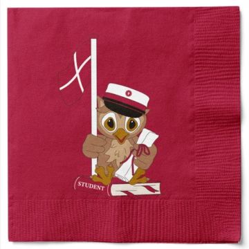 Serviettar med ugle og studenthue raud student 20x Det Gamle Apotek