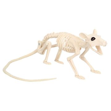 Rotte-skelett dekorasjon - 46x7x10 cm