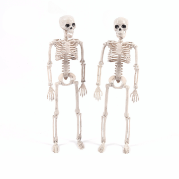Halloween Skelet 40 cm