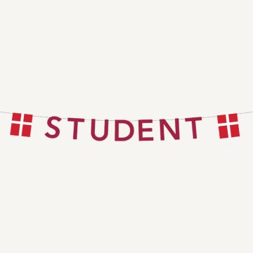 Rød studentgirlander med flagg 0,27X4 m