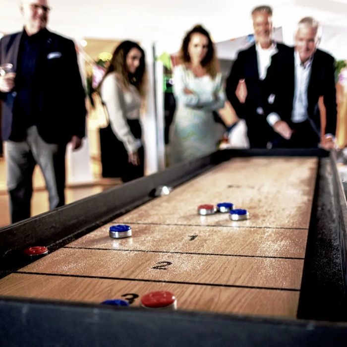 Leige av mega shuffleboard deluxe 280x75 cm 