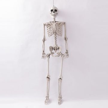 Hengande menneske skeletdekorasjon - 90 cm